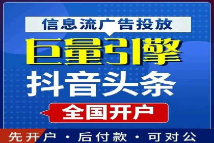 解析某某SEM服务公司的广告投放策略与效果评估